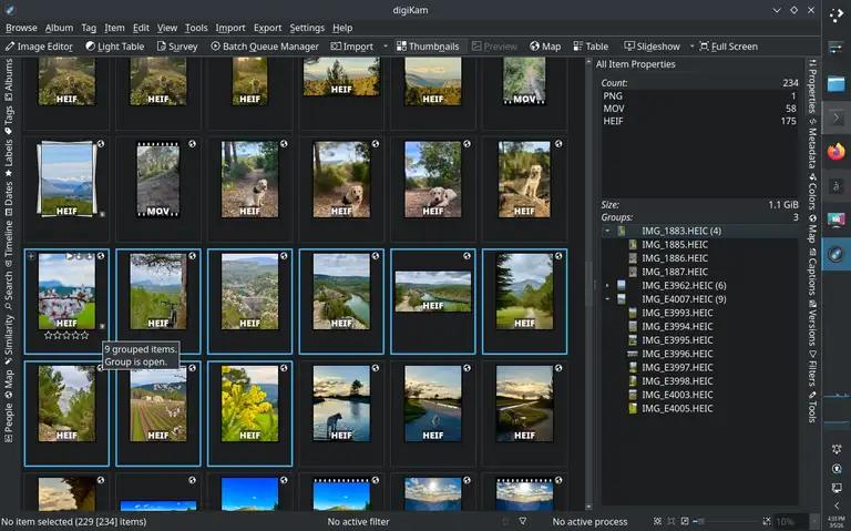 Datei- bzw- Albumeigenschaften