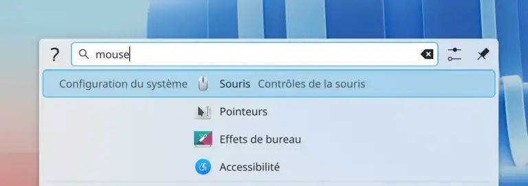 search-for-mouse-find-souris