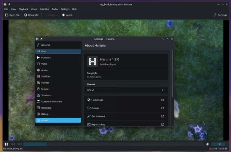 Haruna 1.9 Media Player